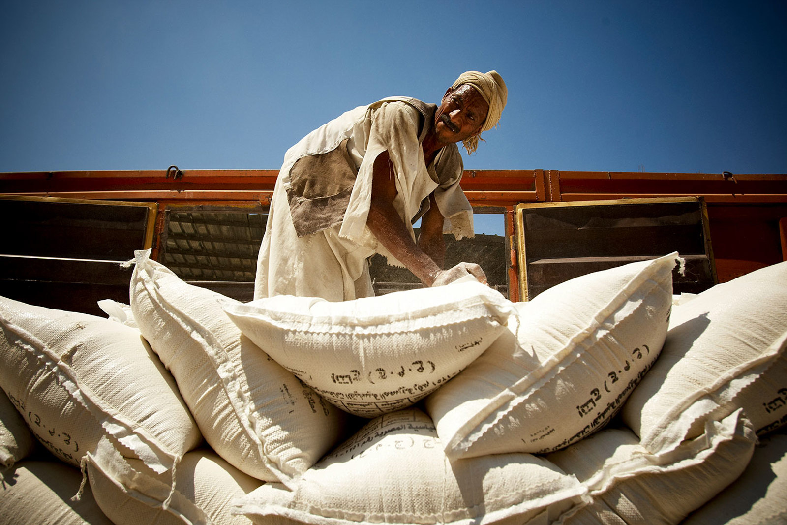 lack of food in egypt