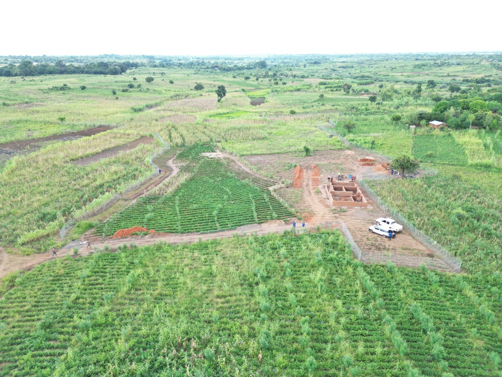 The Farm View