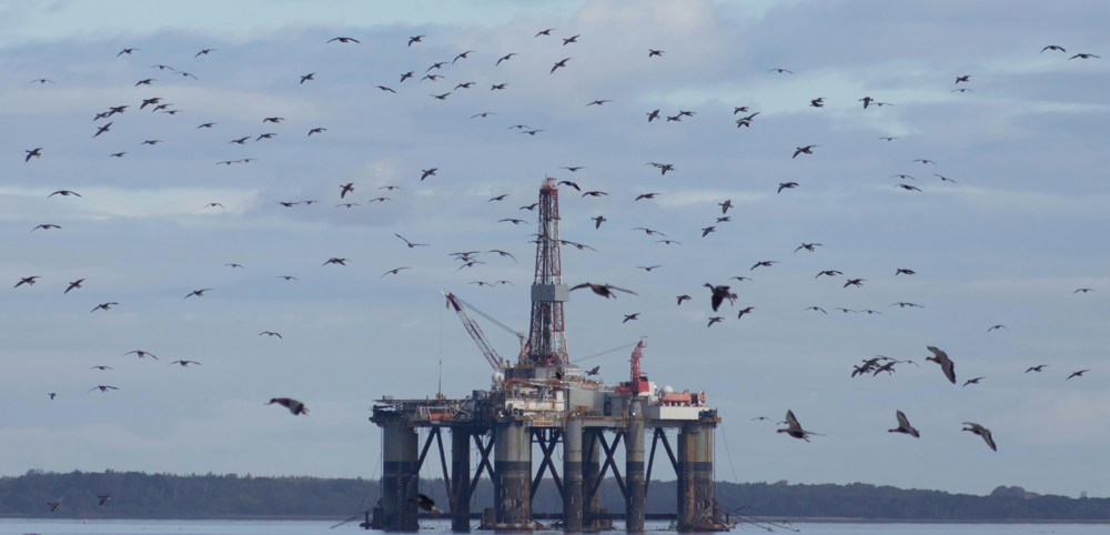 Paul Levesley Oawzr9awd E Unsplash