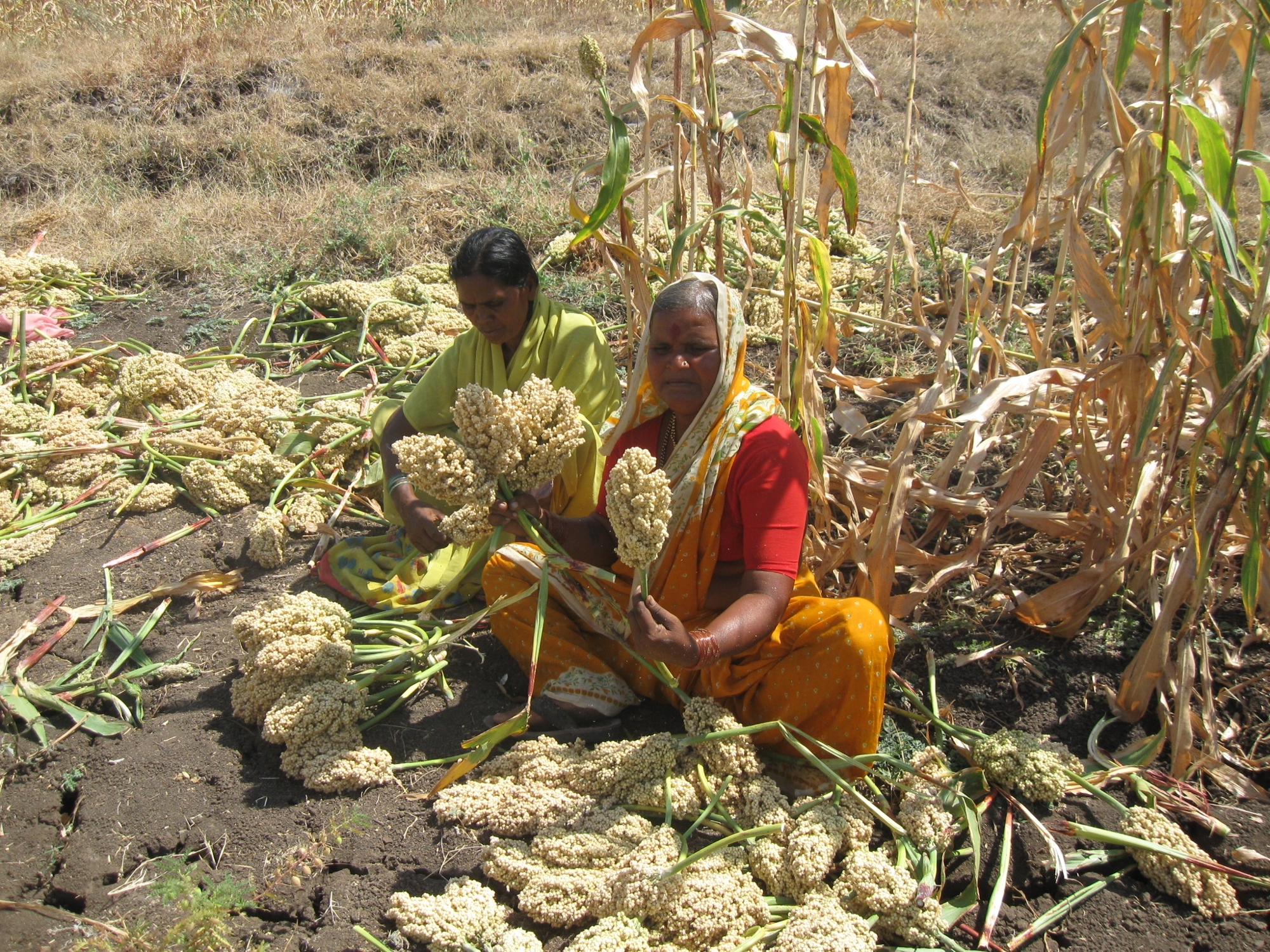 7484617302 9980627270 O